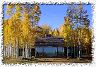 images/_cabinfrontwind.jpg, 3.6K