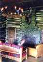 images/_livrmfireplace.jpg, 89 x 128, 2.8K