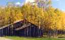 images/_sidebackother.jpg, 128 x 79, 2.2K