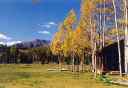 images/_sideview298.jpg, 128 x 88, 2.3K