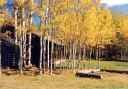 images/_sideview98.jpg, 128 x 89, 2.6K