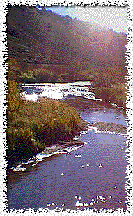 Upper Nelly
